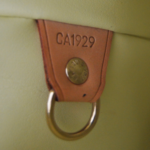 Louis Vuitton Houston Handbag